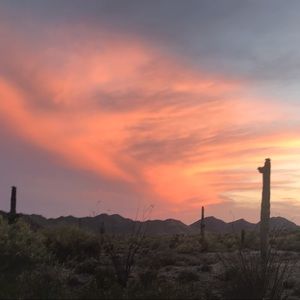 Meet your Posher, Fashion